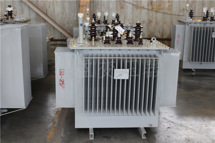 钦州S20-800kVA/10kV/0.4kV变压器